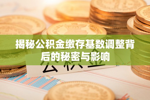 易门揭秘公积金缴存基数调整背后的秘密与影响