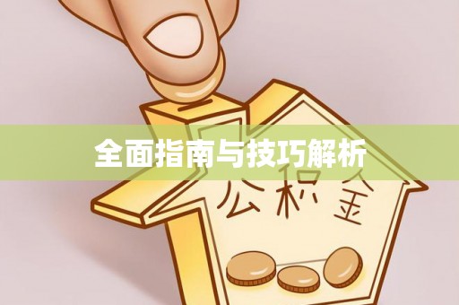 易门全面指南与技巧解析