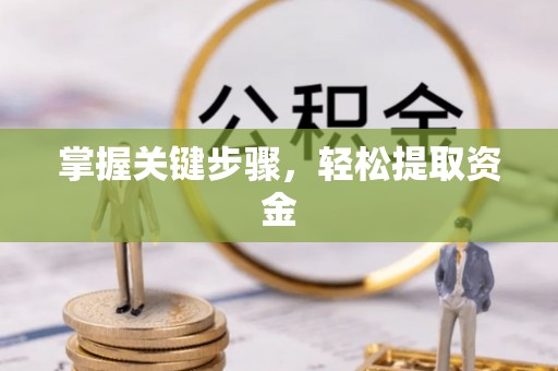 易门掌握关键步骤，轻松提取资金