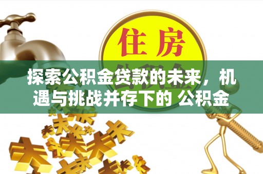 易门探索公积金贷款的未来，机遇与挑战并存下的 公积金贷款风险防控