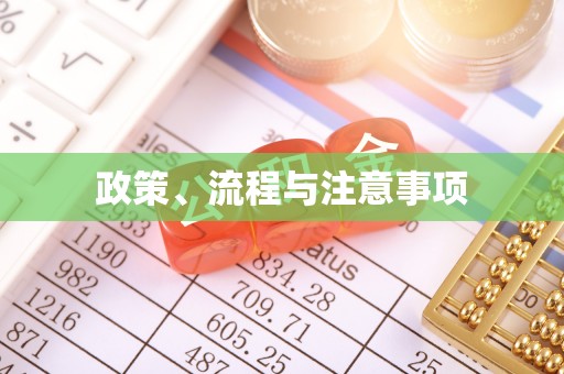 易门政策、流程与注意事项