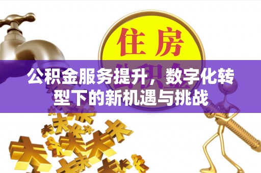易门公积金服务提升，数字化转型下的新机遇与挑战