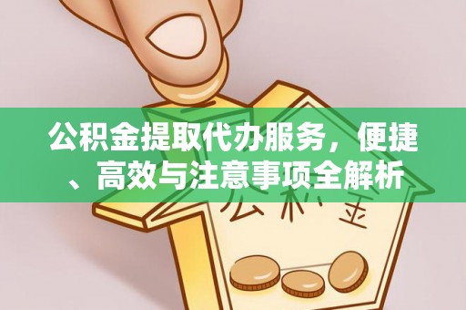 易门公积金提取代办服务，便捷、高效与注意事项全解析