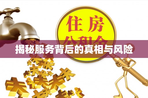 易门揭秘服务背后的真相与风险