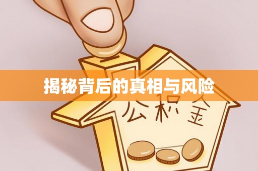 易门揭秘背后的真相与风险