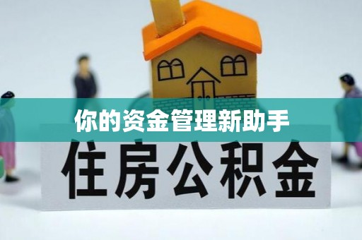 易门你的资金管理新助手