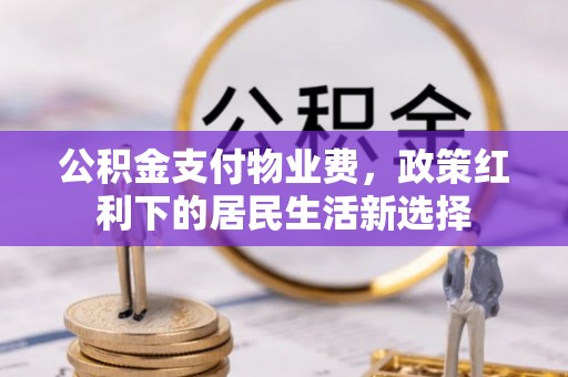 易门公积金支付物业费，政策红利下的居民生活新选择