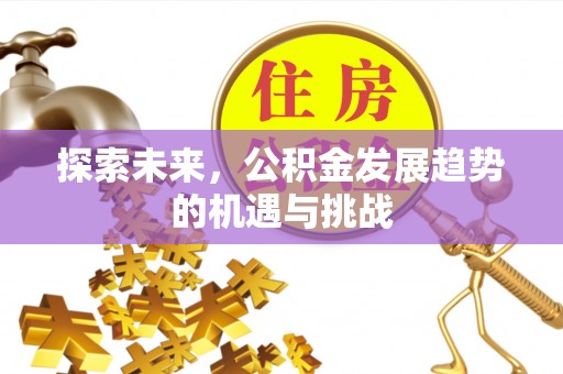 易门探索未来，公积金发展趋势的机遇与挑战
