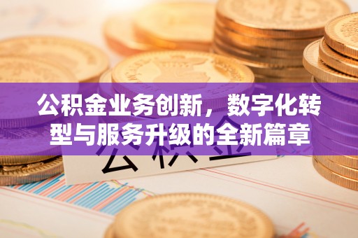 易门公积金业务创新，数字化转型与服务升级的全新篇章