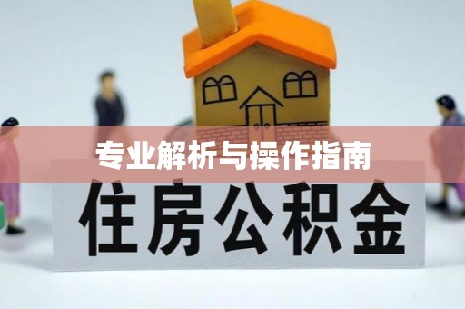 易门专业解析与操作指南