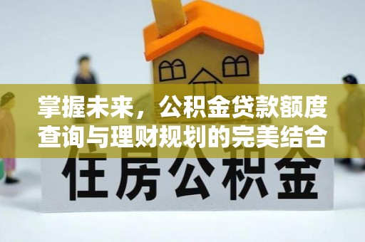 易门掌握未来，公积金贷款额度查询与理财规划的完美结合