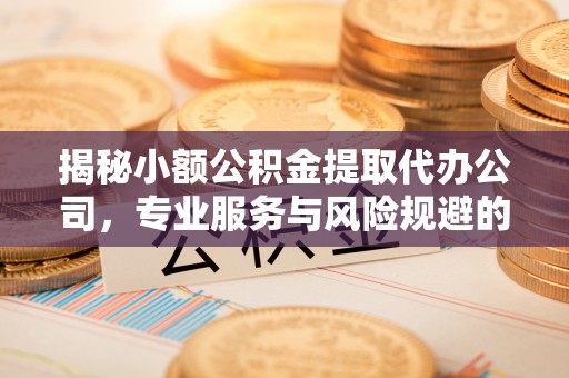易门揭秘小额公积金提取代办公司，专业服务与风险规避的平衡艺术