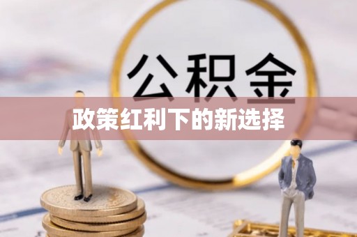 易门政策红利下的新选择
