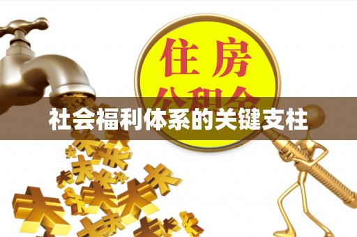 易门社会福利体系的关键支柱