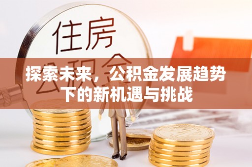 易门探索未来，公积金发展趋势下的新机遇与挑战