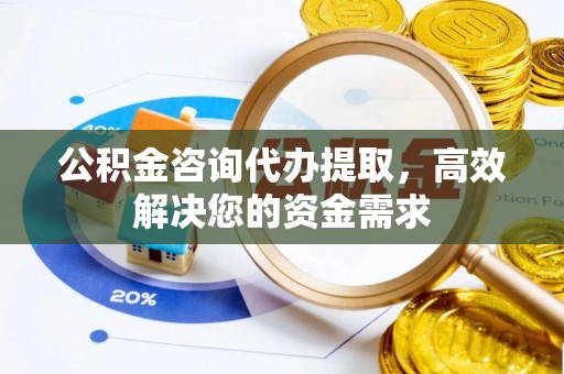 易门公积金咨询代办提取，高效解决您的资金需求