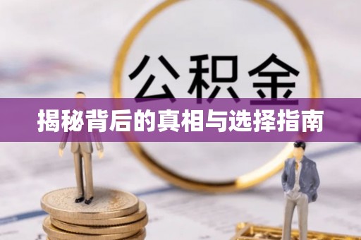 易门揭秘背后的真相与选择指南