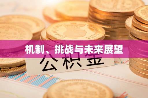 易门机制、挑战与未来展望