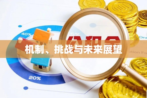 易门机制、挑战与未来展望