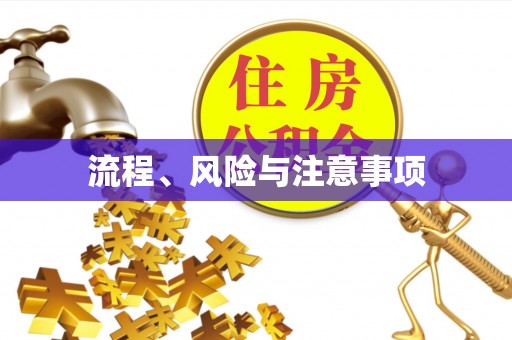 易门流程、风险与注意事项