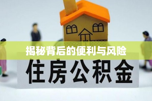 易门揭秘背后的便利与风险